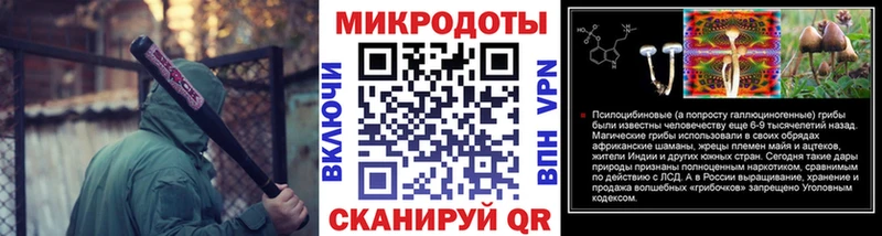 купить  сайты  Тольятти  Псилоцибиновые грибы Psilocybine cubensis 
